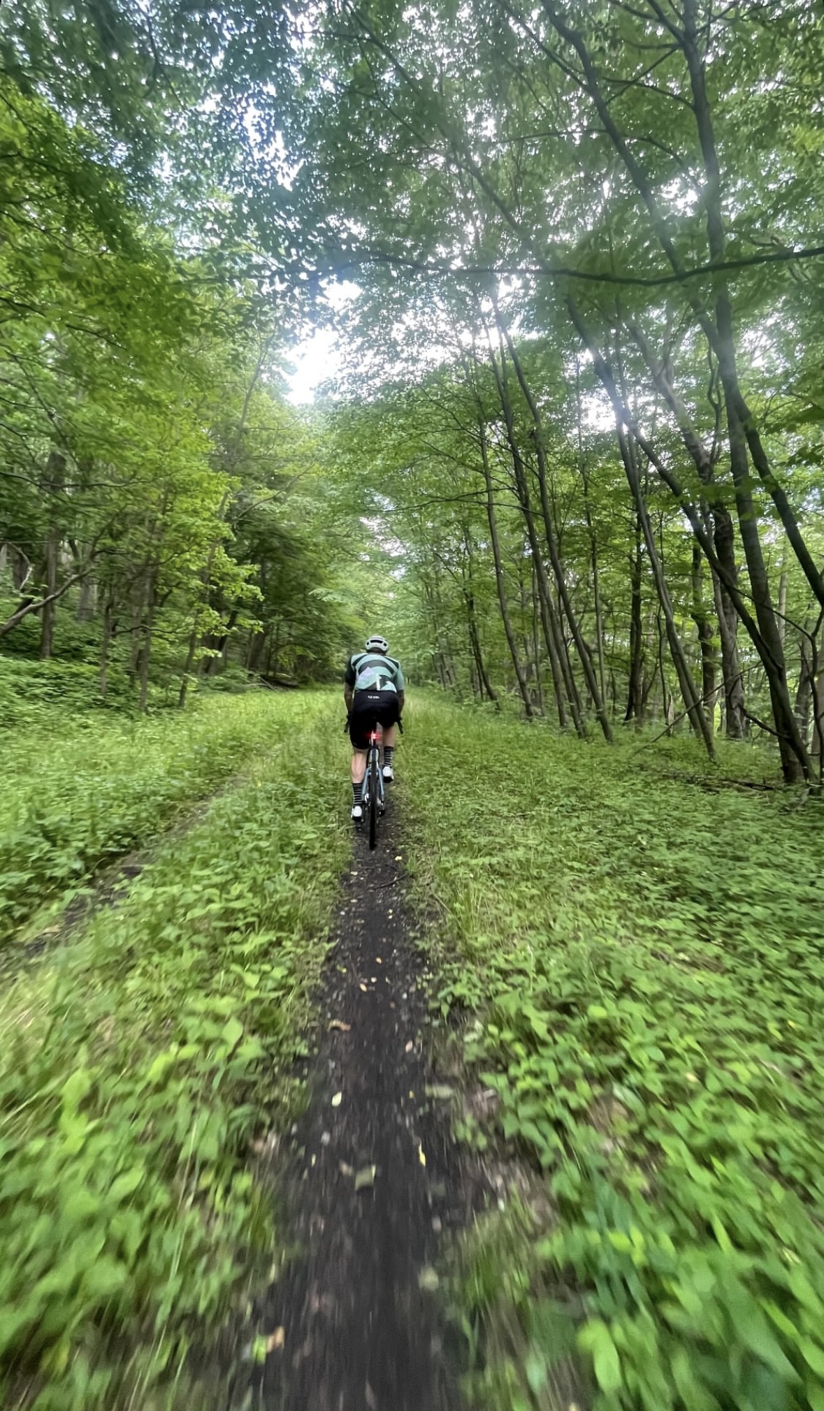Cyclist riding through a forest trail